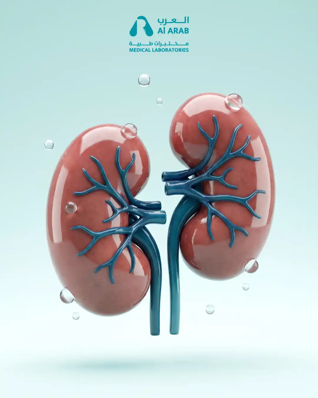 Kidney Health Package