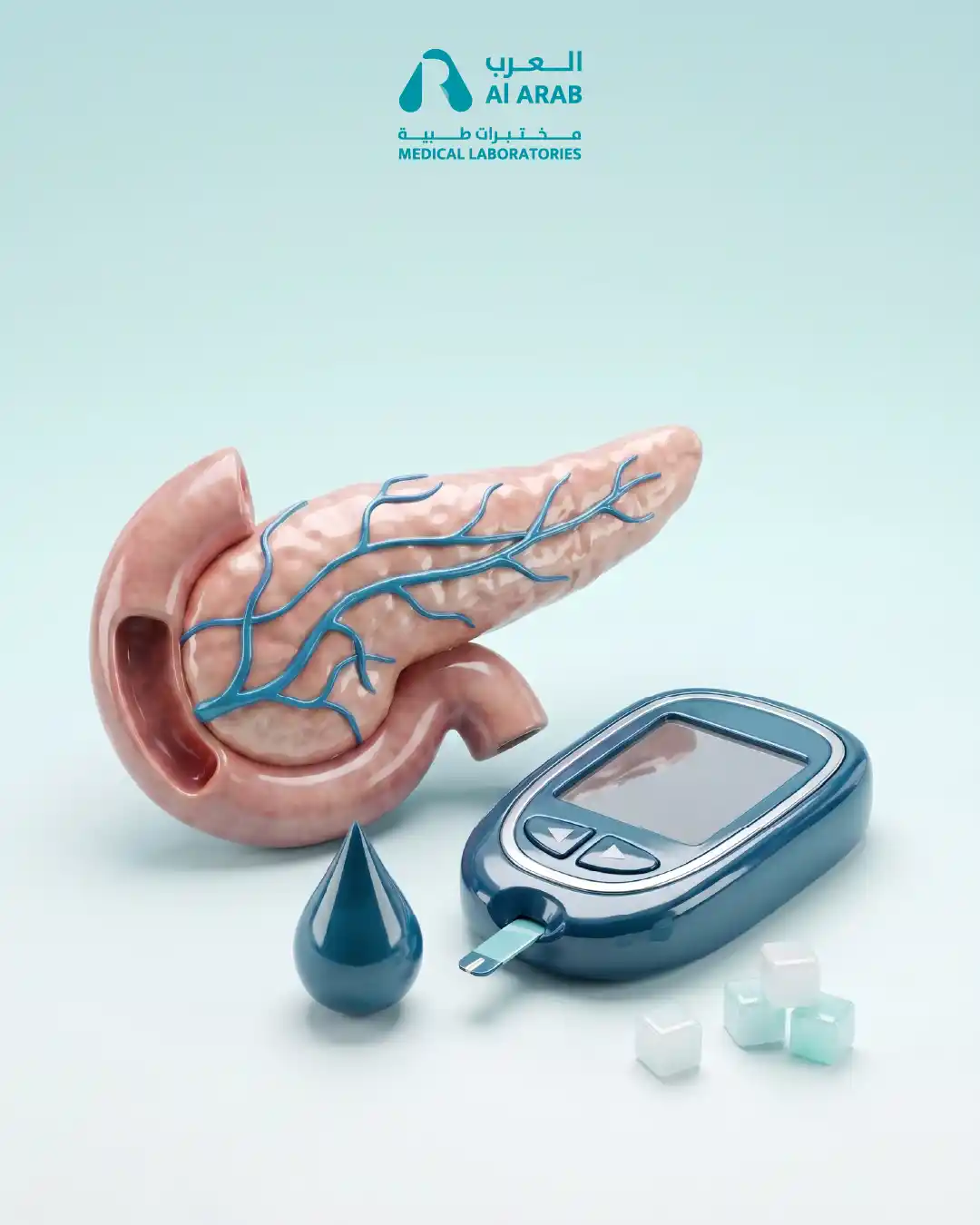 Diabetis Package