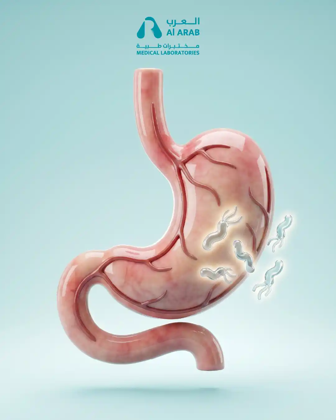 Helicobacter Pylori Package