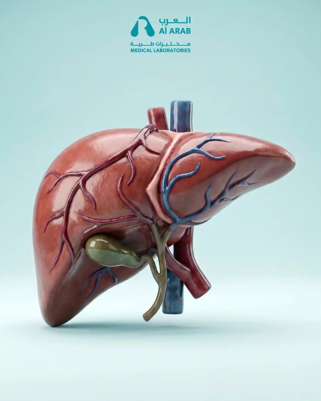 Liver Health Package