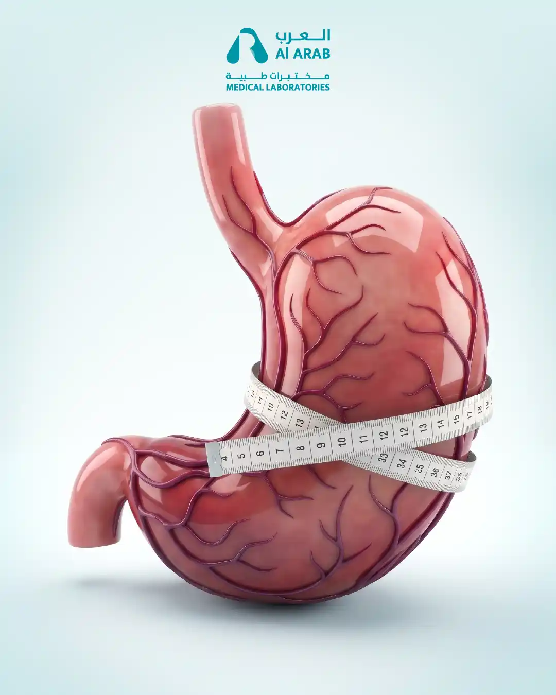 Before Gastric Toning